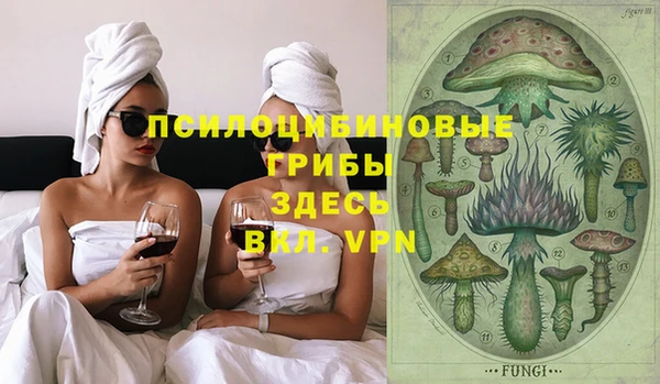 синтетический гашиш Алексин