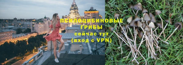 трава Абаза