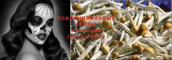 трава Абаза